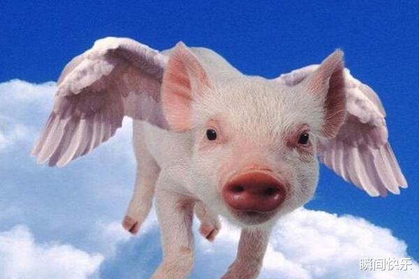 瞬间快乐|8月26-9月7日，喜事临门，贵人提携，旗开得胜，职场顺遂的生肖