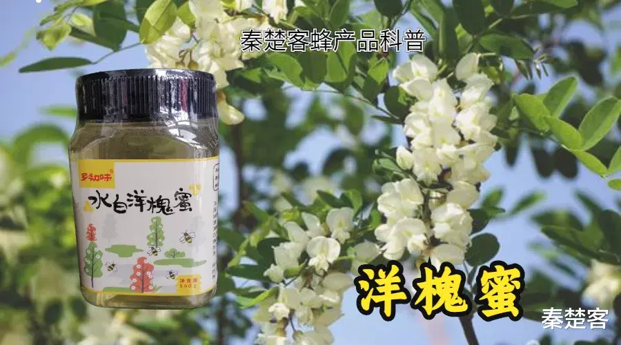 秦楚客|为什么洋槐蜜才是最适宜糖尿病人喝的蜂蜜？