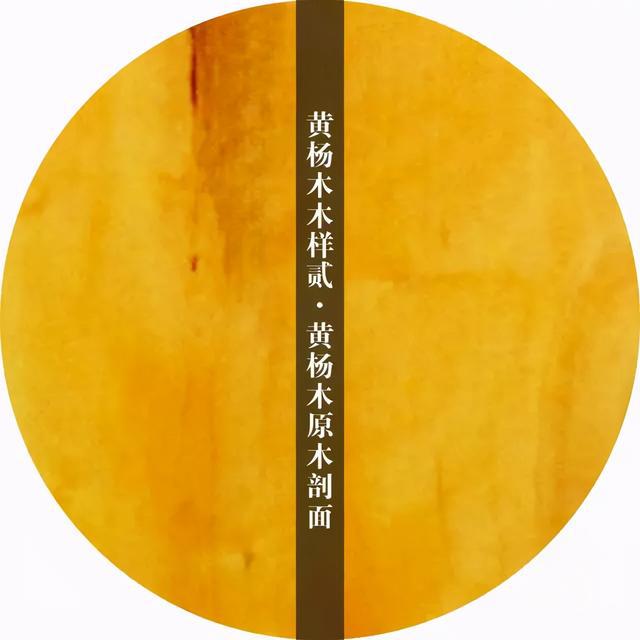 小王话红木|干货分享：中国古典家具用材图鉴！（多图）