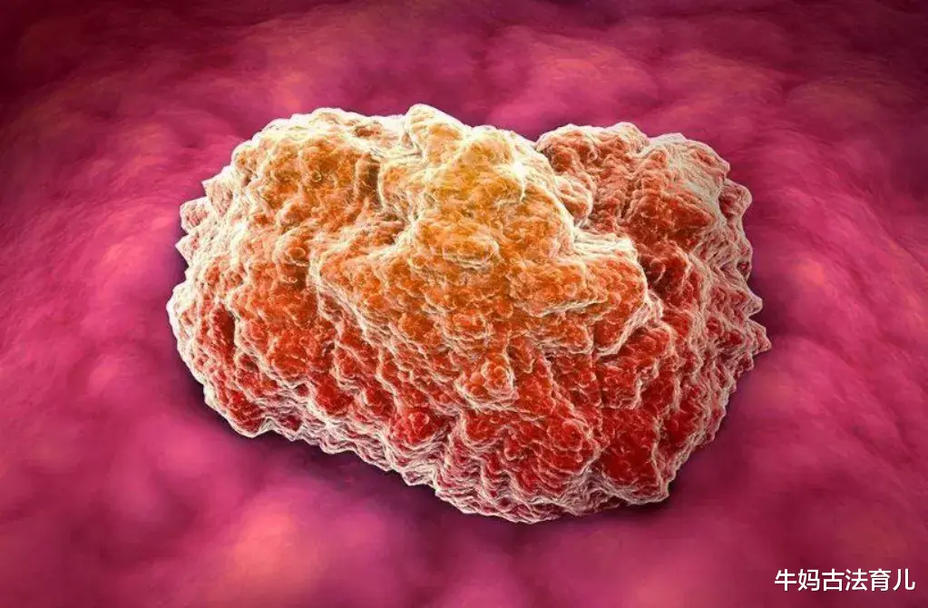 牛妈古法育儿|濒死病人身上发生的惊人一幕 ，让你颠覆对疾病的看法