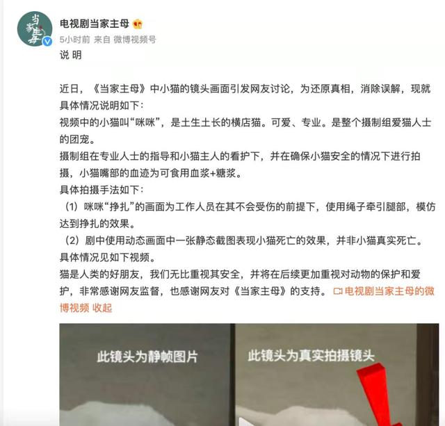 当家主母|知名UP主质疑《当家主母》剧组澄清声明P图造假：不怕反转，肯定P图了