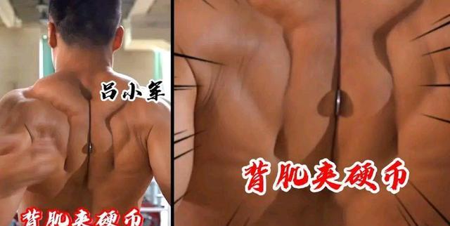 王紫悦说家居|运动员的背部肌肉有多强，看奥运健儿们展示自己的健硕肌肉！