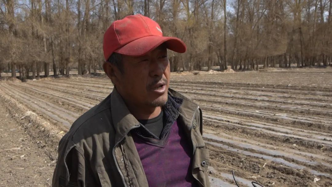 阿克塞县融媒体中心 三春生产：我县抢抓时节春种全面展开