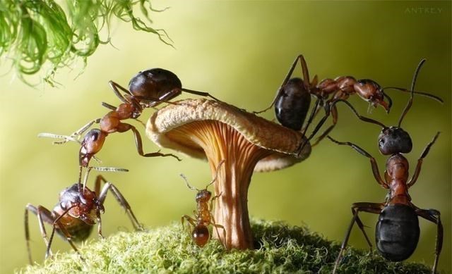 科学家 进入四维空间,就能成为“时间主人”?研究者:穿越时空或实现!