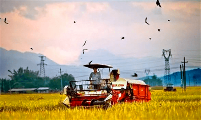 印度 温铁军：中国不能实行农村土地私有化，去印度看看再说话