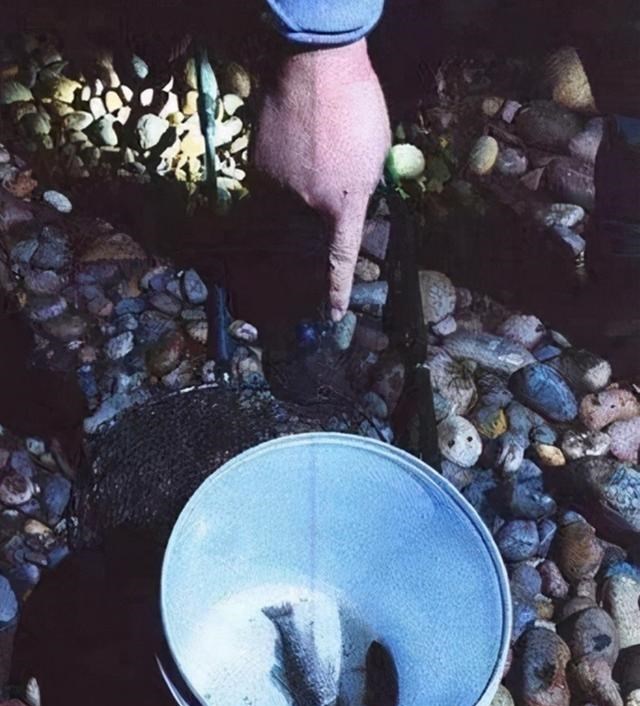 朱桀的行走记 重庆九龙坡两男子大晚上不睡觉，跑到长江边干坏事，当场被逮住了