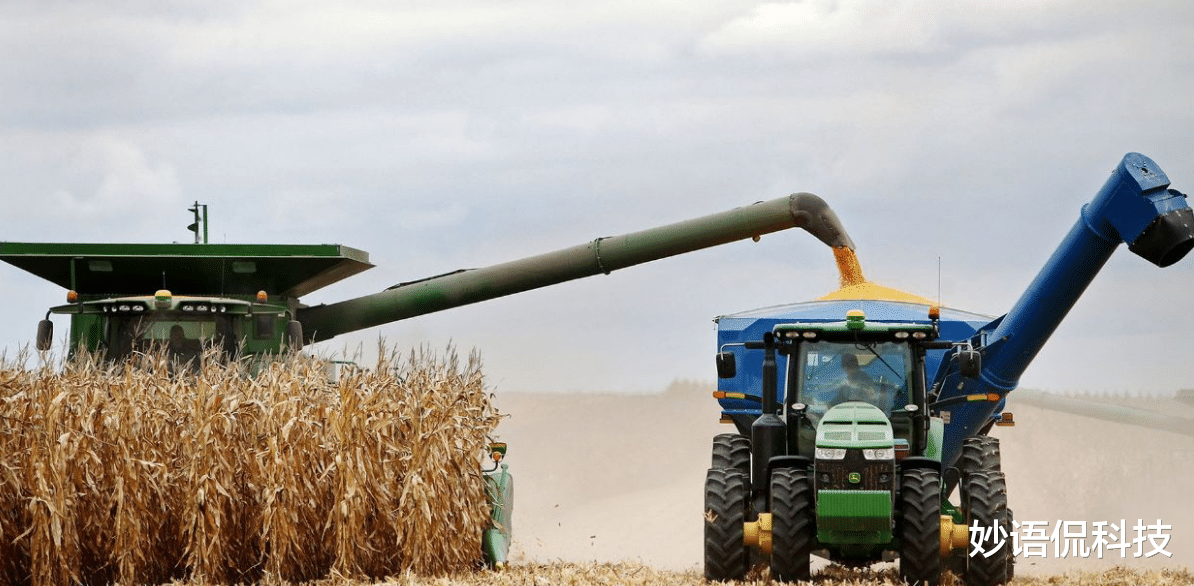 中國大規模取消進口玉米訂單，是什麼原因造成的？-圖5