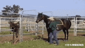 学姐说育儿|“求高手把我们两个P一起,一小时后来拿图!”