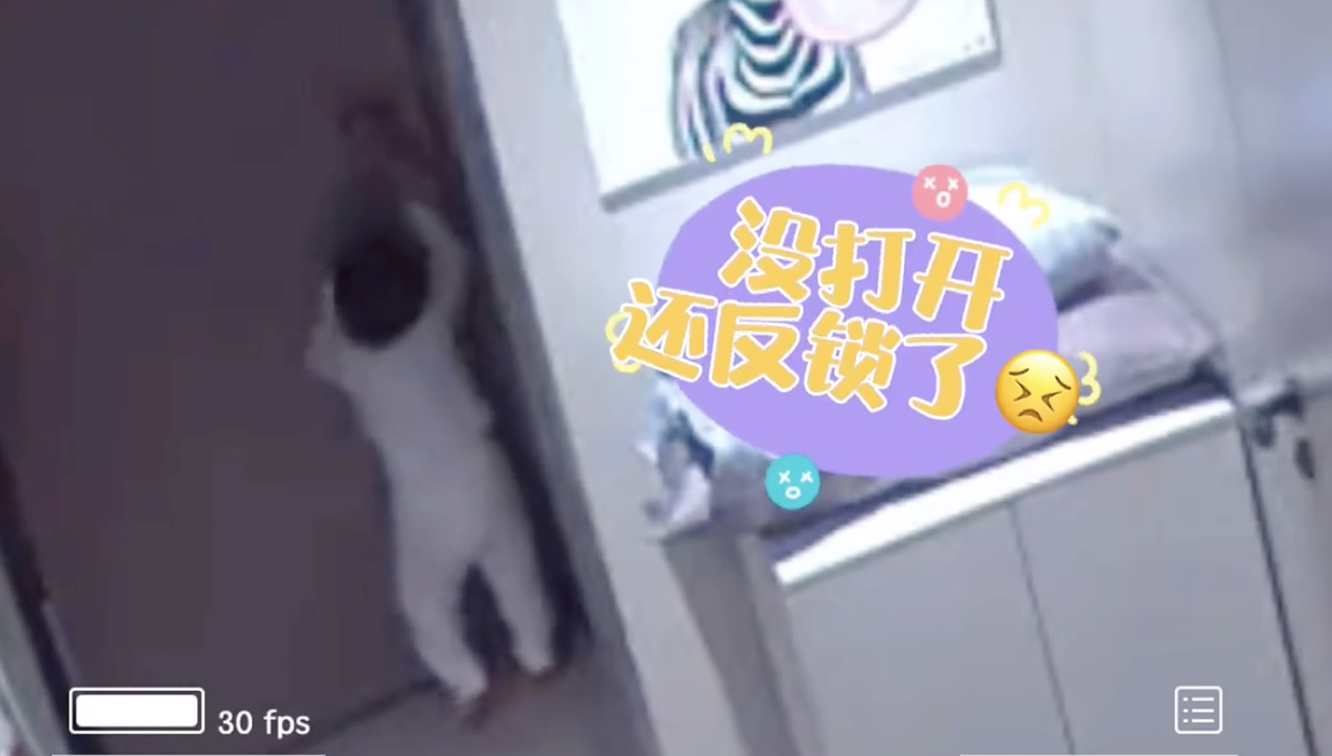 女心理师|安以轩2岁儿子再玩“越狱”,翻出床围还将门反锁,沉着应对超淡定