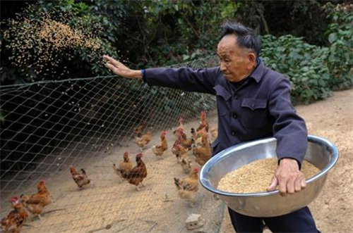 蜀山笔侠 浙江老渔民一天痛失三子,背负60万外债,他:人死债不消,我来还