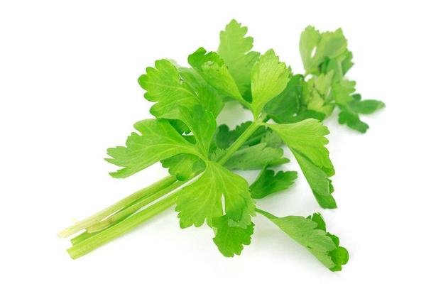 尿酸|尿酸过高，痛风来？六类食物或让尿酸自然“消退”，减轻肾脏负担