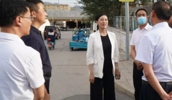 大树说教育|清华“女博士”当选县长,颜值才华双在线,不料评论区却骂声一片