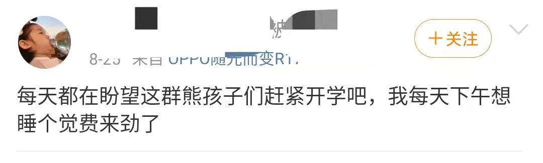 诺妈家有男宝娃|暑假最后一天,盘点熊娃的心情,几家欢喜几家忧啊