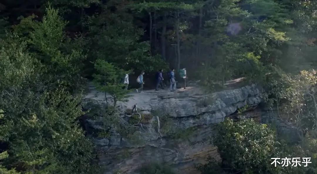 致命弯道7|让人惊喜的恐怖片重启版，《致命弯道7》成为该系列的救市作