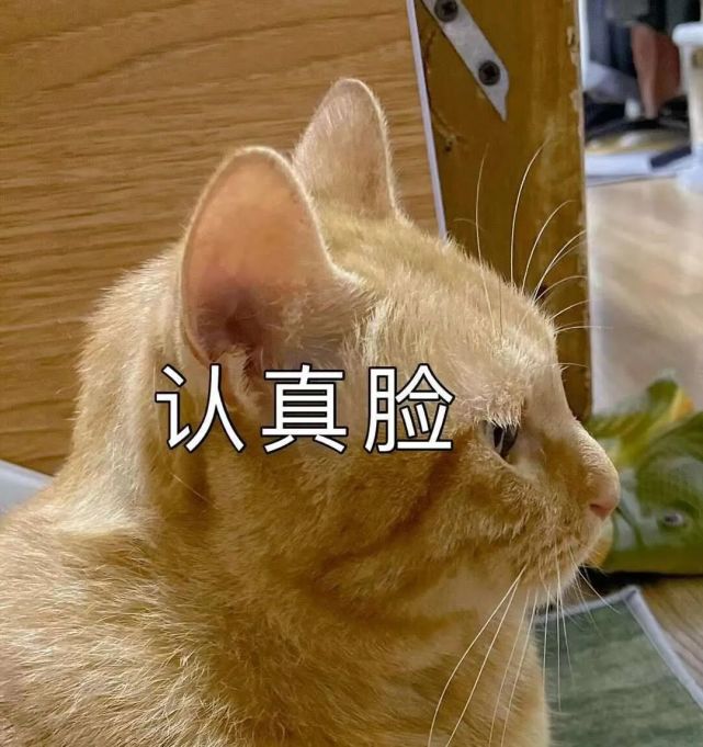 |面试“奇葩”问题大赏，面试官在逗我玩？