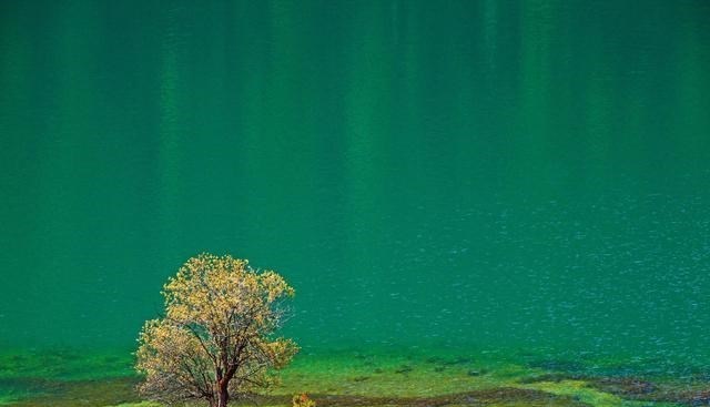 晓雪思考|“还我青春”前男友到婚礼现场“讨公道”：5年感情，5万分手费