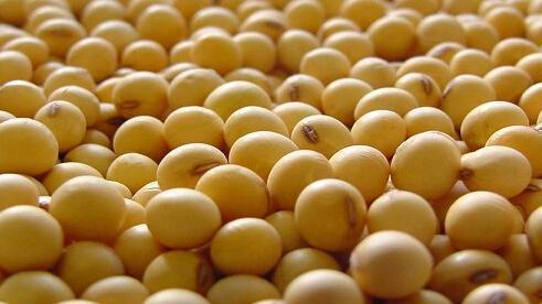 宗庆后 宗庆后建议：农民回家种地，就业机会让给城里人，为何反被支持？