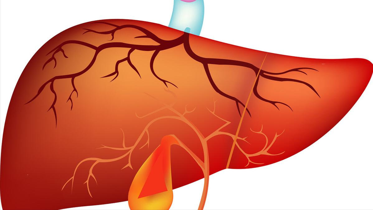 肝脏|肝功能“稀烂”的人，脸上若有这3种“异常”，请及时养肝