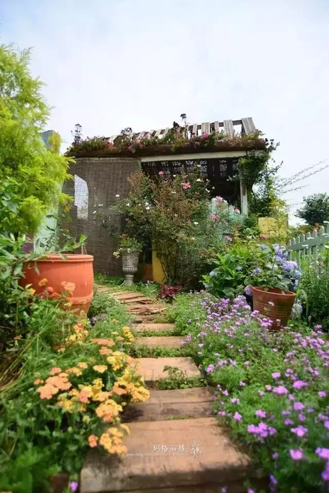 他建了座2亩的鲜花小院,满足你对花园的所有幻想!