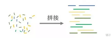 以前要24小时的基因组测序,中国团队只用了7分钟