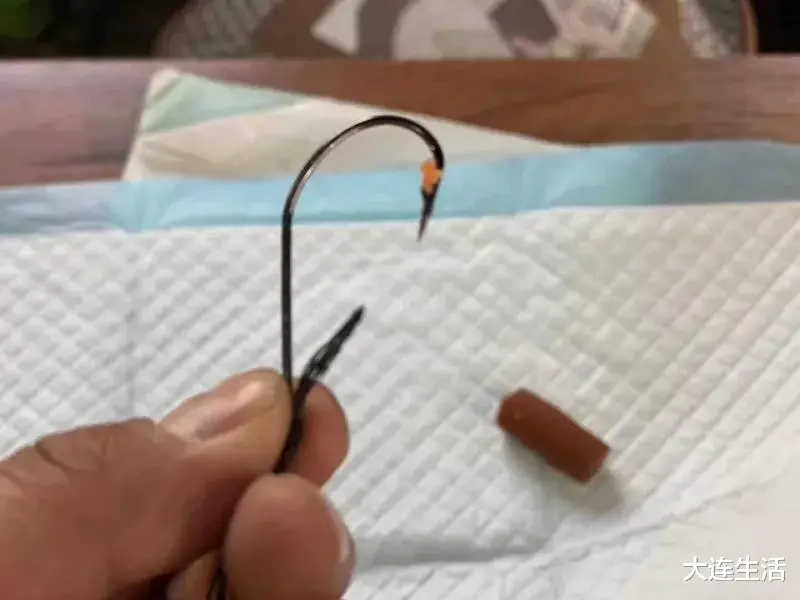 大连生活 大连一小区附近疑有人用鱼钩“钓”狗 市民：太缺德了！