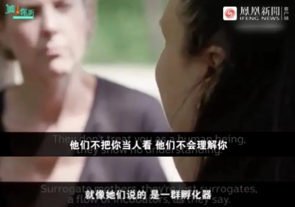 郑爽|郑爽代孕弃养，被全网封杀后新料曝光：她不是蠢，是真恶毒！