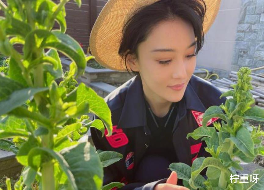 何捷|太甜了！张馨予晒何捷照片为老公庆生，兑现一年前的晒照承诺