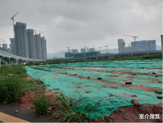 |光明将一次性出让超过21万㎡产业用地