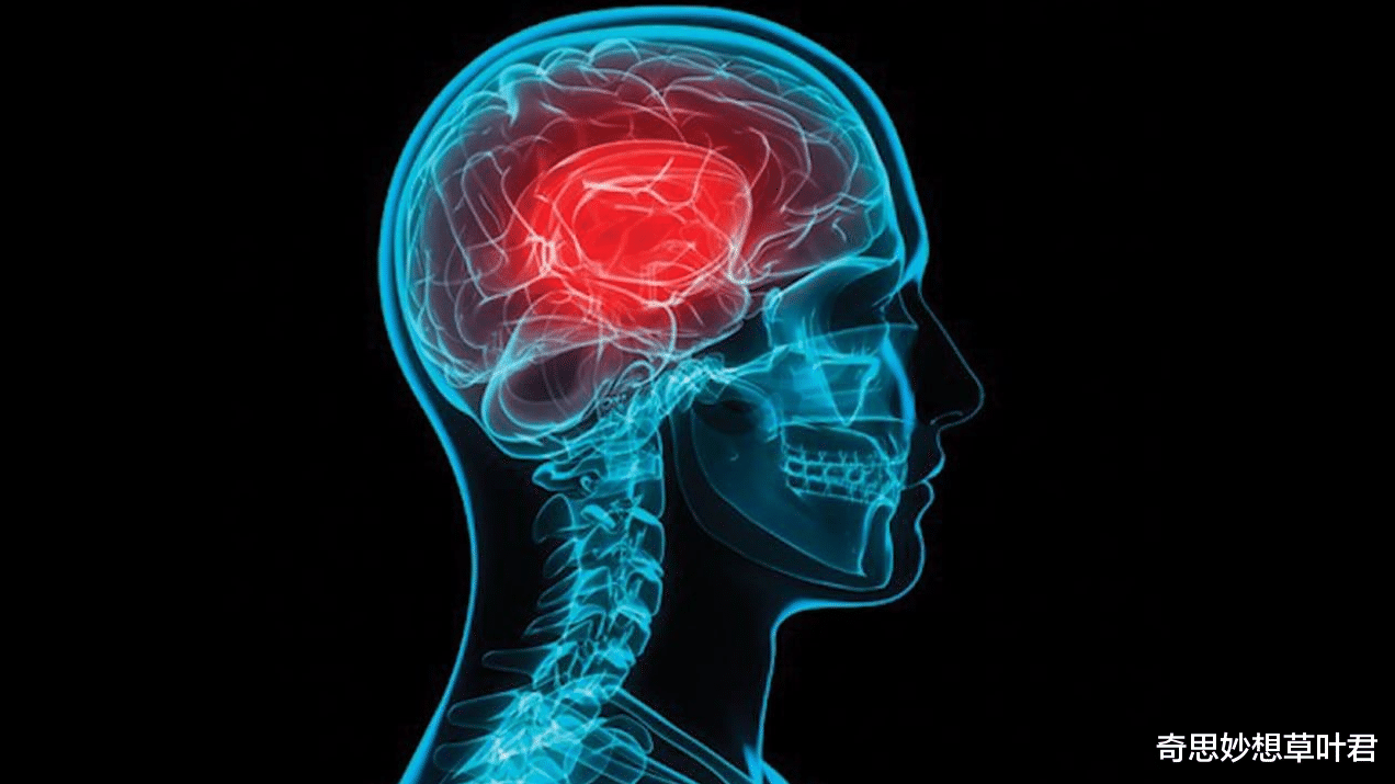 医生 科学尽头是神学？世界首例“无脑人”，娶妻生子还考取公务员！