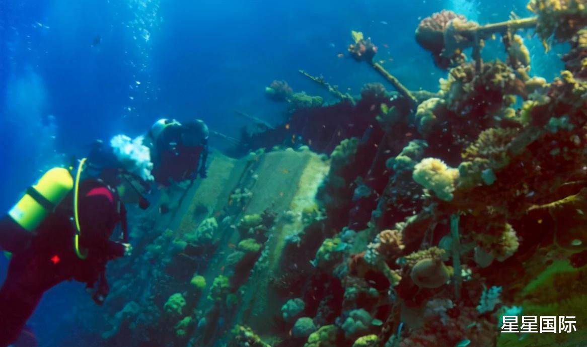 陆小曼|又火了，中国发现载满圆明园文物的英国沉船，英国：请还给我们