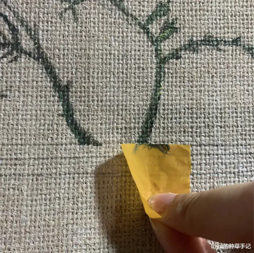 Liya的种草手记 为什么我劝女生买 “ 假包 ”