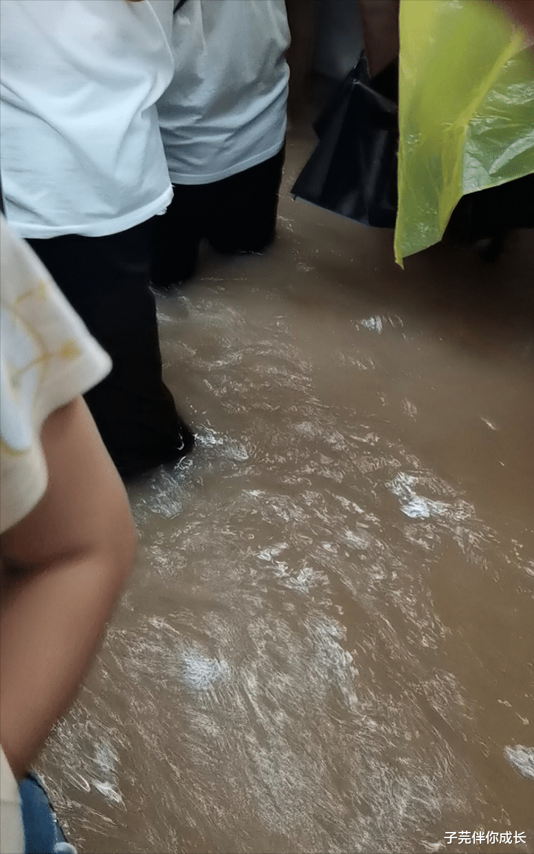 子芫伴你成长|等了一夜，“雨衣爸爸”没接到女儿：爱与不爱，此生都不会再见了