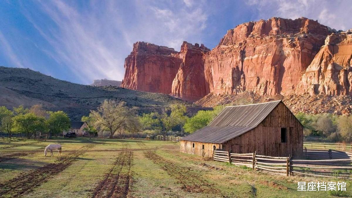 星座档案馆|机灵有谋略，总能爆棚的星座，善于观察，头脑过人