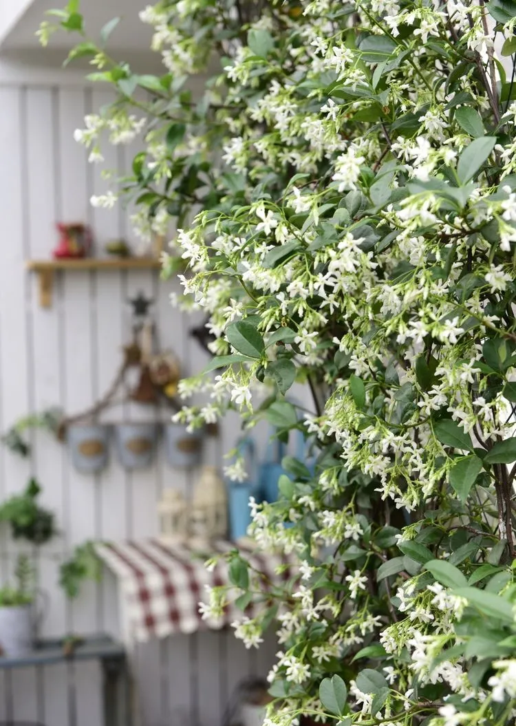 4年前，毫不犹豫买了这个带60㎡露台的房子，开始DIY改造小花园