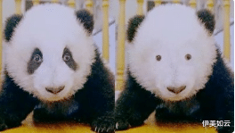 伊美如云|为什么黑眼圈这么难改善？只有熬夜才会引起黑眼圈吗？