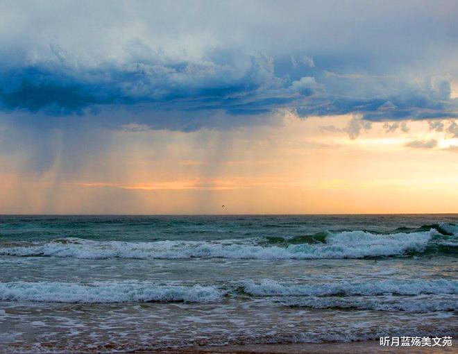 昕月蓝殇美文苑 心中有你，珍惜一生