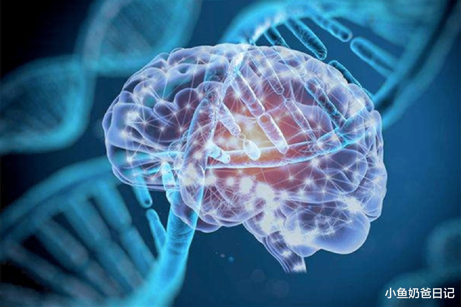 小鱼奶爸日记|“你的智商影响我家四代”:丈夫常贬低打骂妻子,畸形家庭最可怕