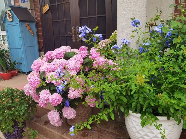 乡村自建房70㎡小院，DIY造花园，享受惬意的田园生活