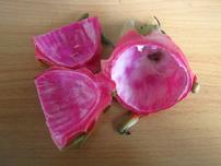 雄哥说药|夏天不要错过这4种皮