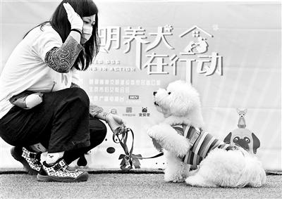 中工网 北京《文明养犬公约》发布