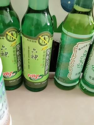 泊庭雪鹭西窗月|真实的经验分享：夏天家里药箱常备哪几种药物呢？