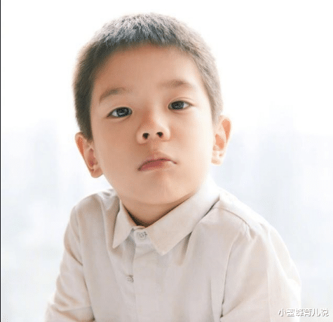 霍思燕|有种“失望”叫霍思燕儿子，7岁脸部臃肿有双下巴，网友：可惜了