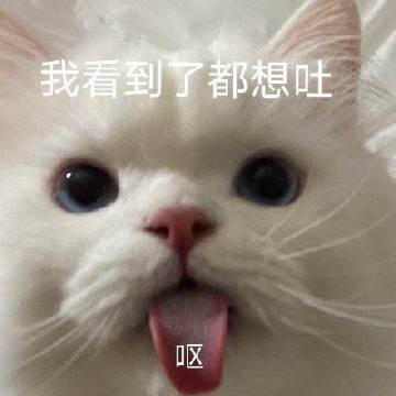 宋茜|表情包：难过的话我可以把你吃了