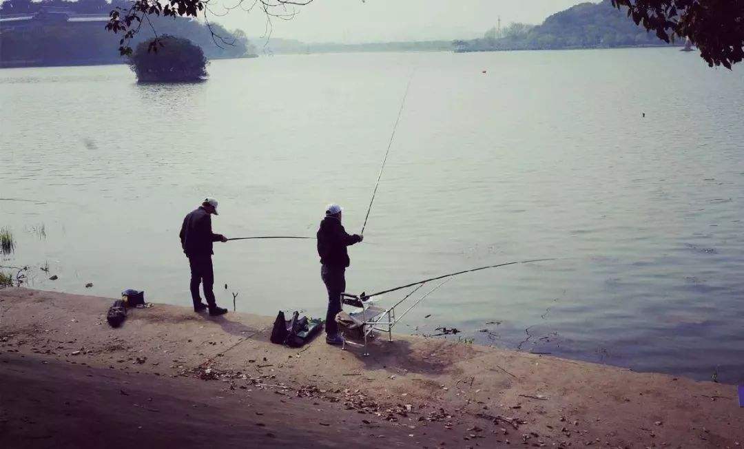 |新年才敢透露的“五感野钓法”学会后，你会为渔获太多而发愁