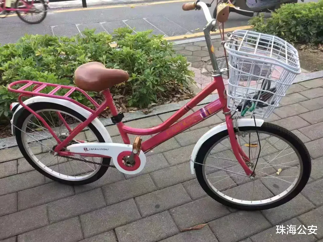 明珠路失窃的自行车,谁干的?
