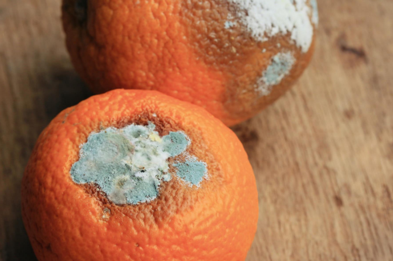 心肌梗塞|母女俩接连确诊乳腺癌，医生：或与1种水果有关，两人平时没少吃