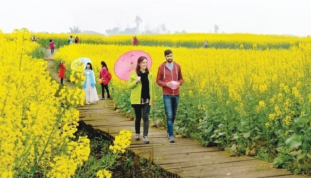 梵恩诗伊宁哥|楼价限跌15%？首个“限跌令”出台，下一个“黄金10年”在农村