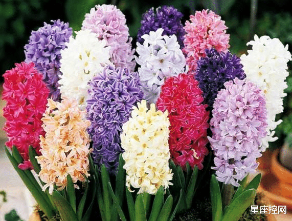 刮目相看|哪些月份出生的人，悄悄在努力，5月令人刮目相看，6月惊艳四座