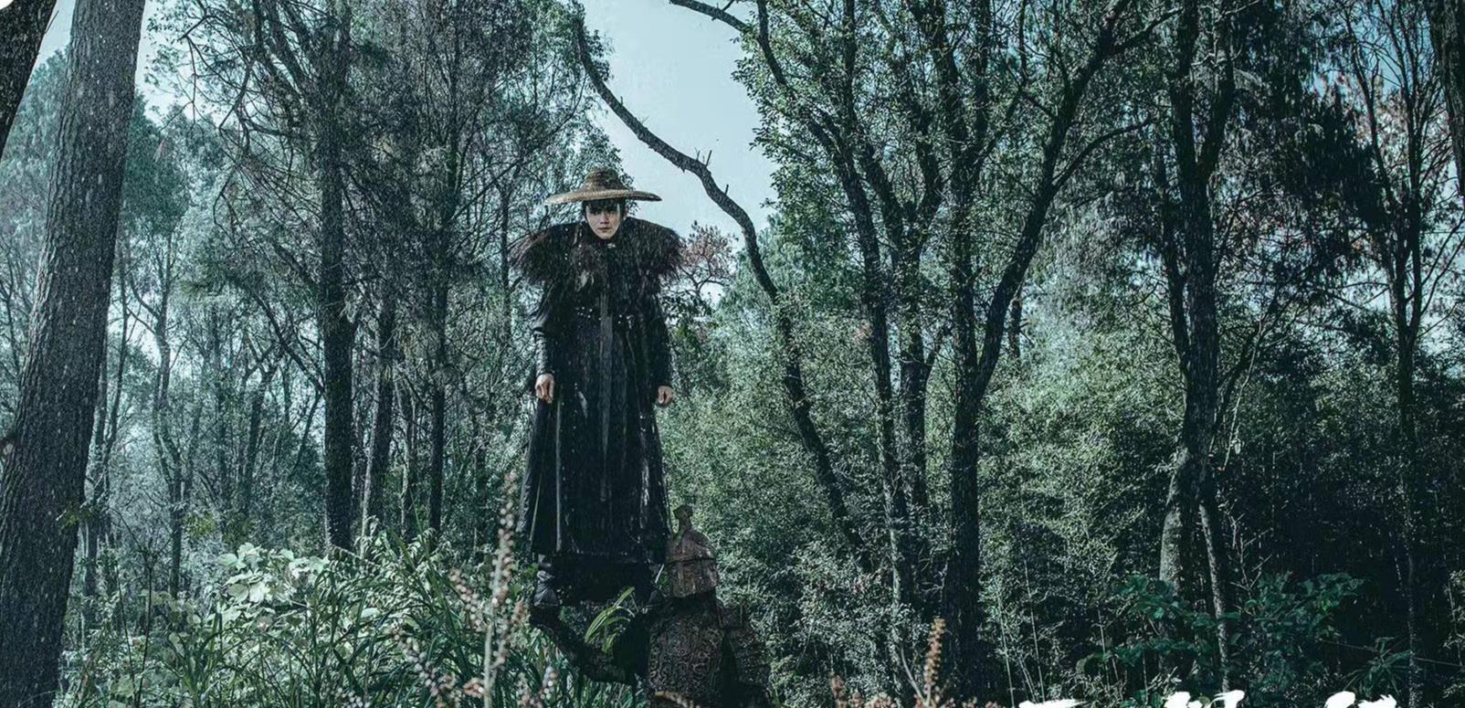 徐骁|天天被原著粉唱衰的《雪中刀》，9天破12亿播放量，就问气不气？