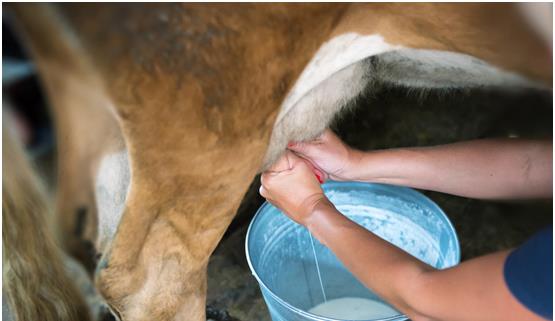 胃病|冬季是胃病的高发季,多吃3种养胃食物,帮你打好冬季“保胃战”